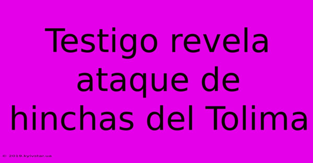 Testigo Revela Ataque De Hinchas Del Tolima