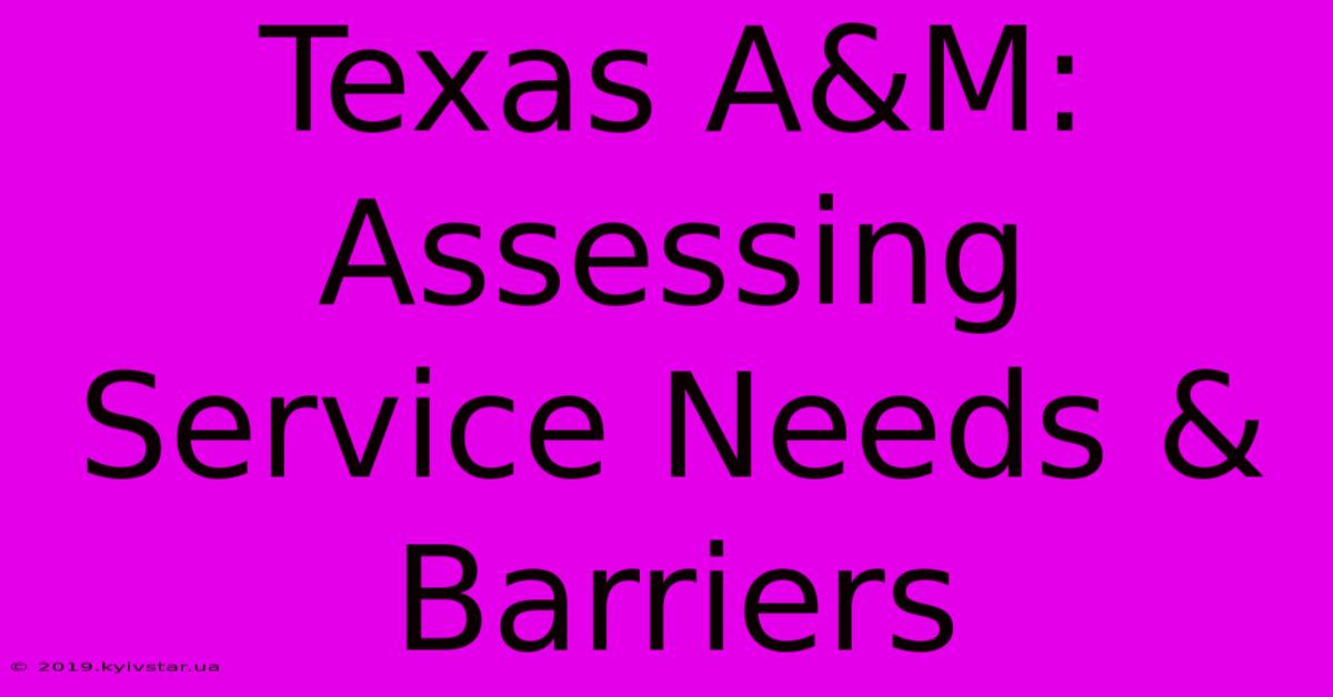 Texas A&M: Assessing Service Needs & Barriers 