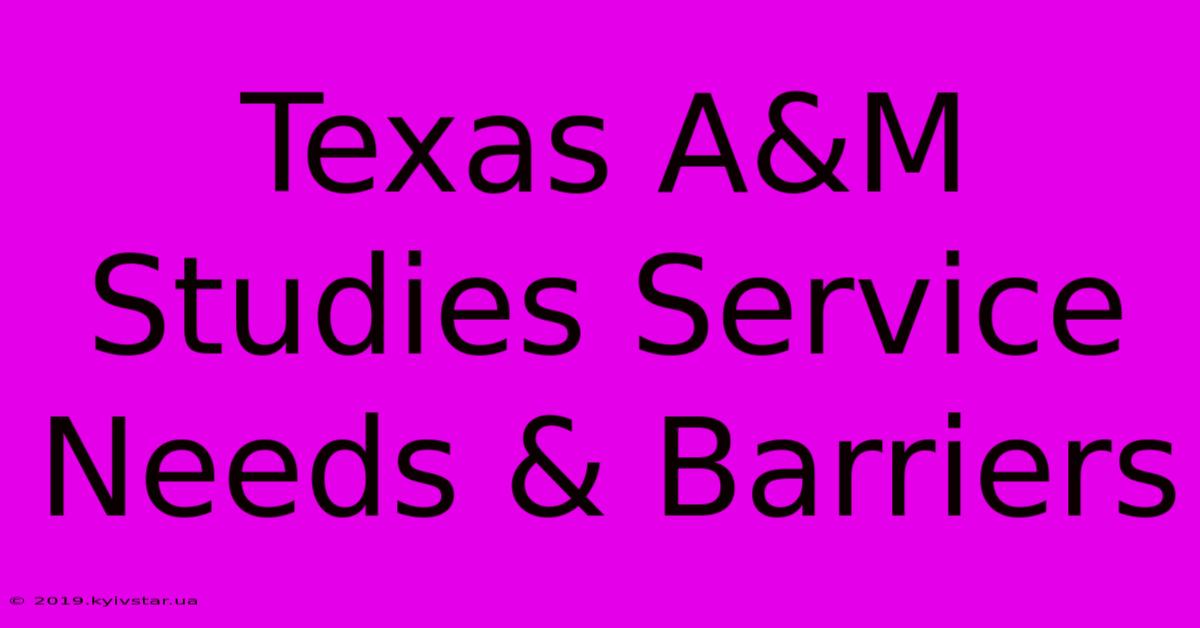 Texas A&M Studies Service Needs & Barriers