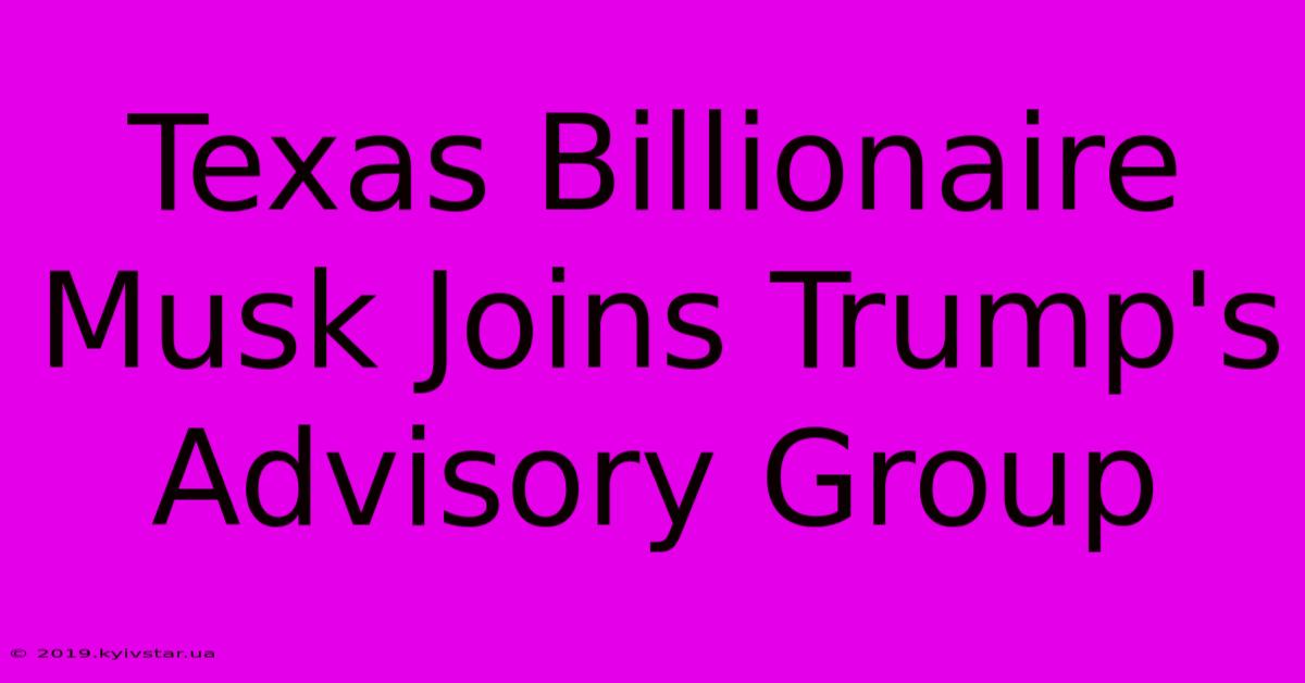 Texas Billionaire Musk Joins Trump's Advisory Group 