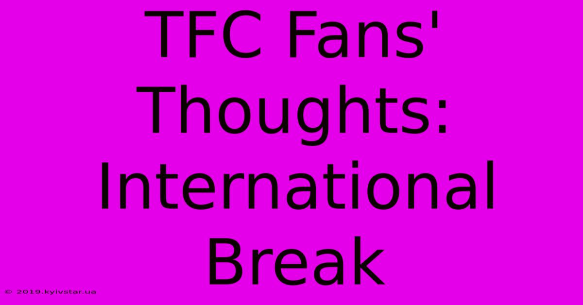 TFC Fans' Thoughts: International Break