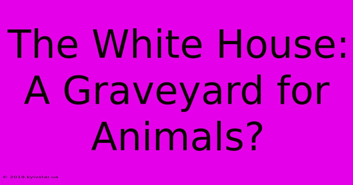 The White House: A Graveyard For Animals?