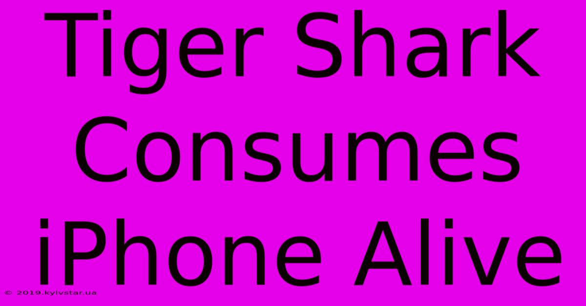 Tiger Shark Consumes IPhone Alive