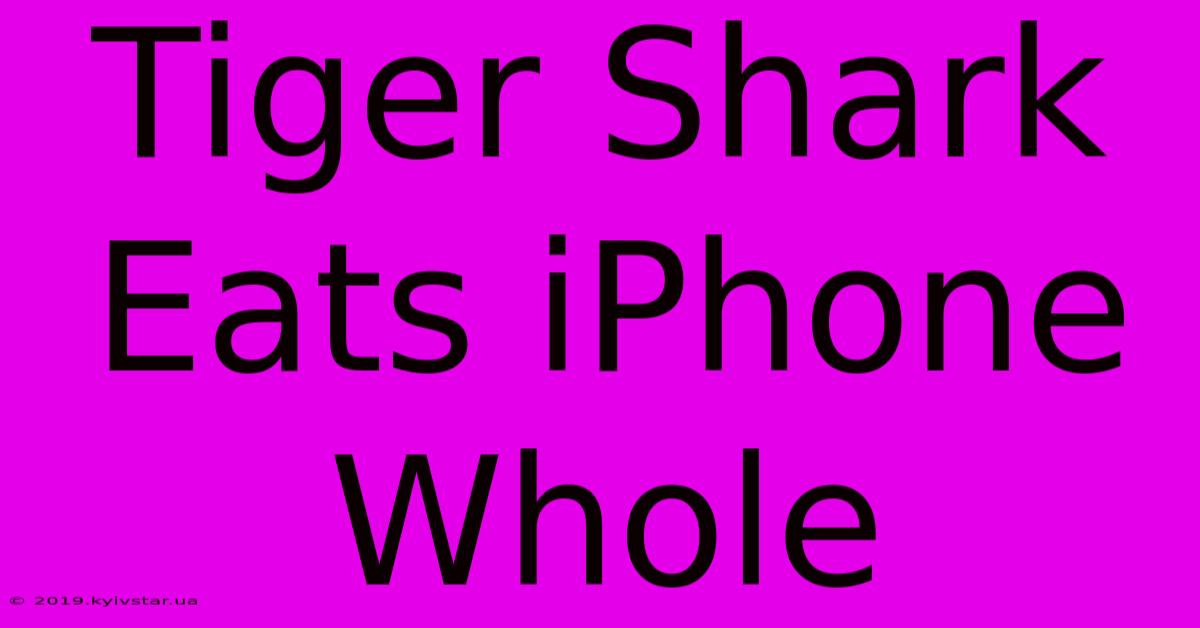 Tiger Shark Eats IPhone Whole