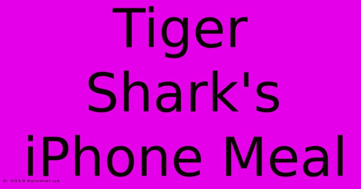 Tiger Shark's IPhone Meal