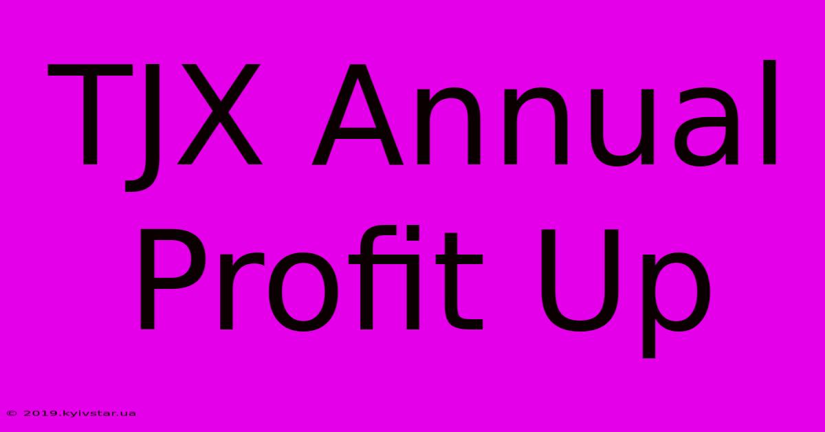 TJX Annual Profit Up