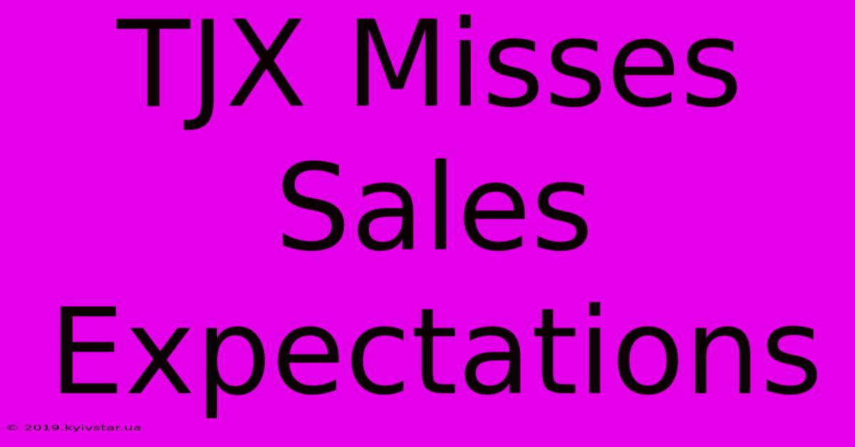 TJX Misses Sales Expectations