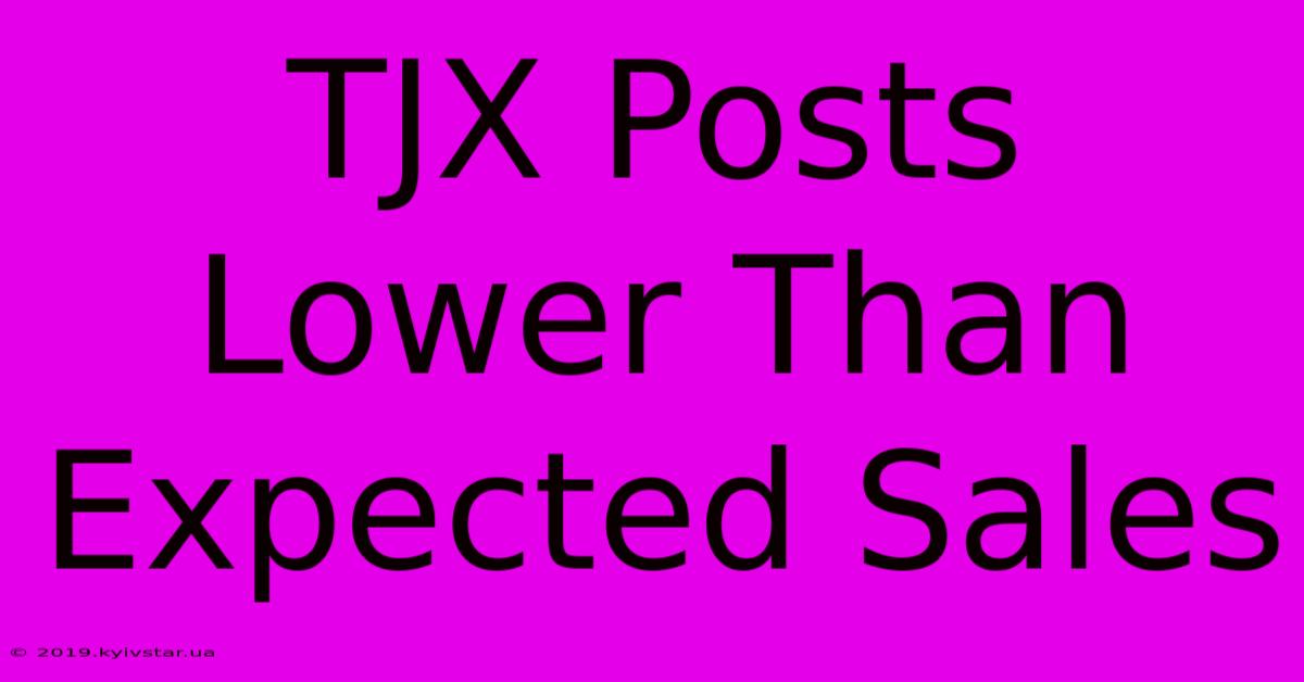 TJX Posts Lower Than Expected Sales