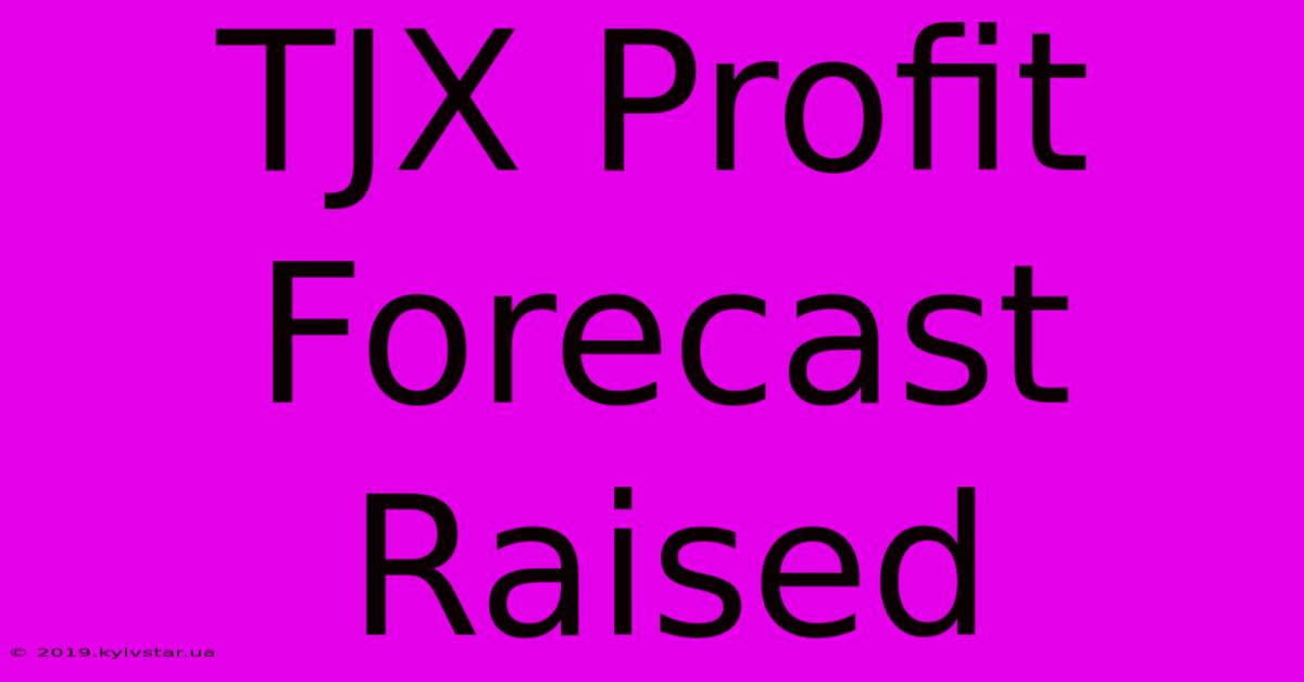 TJX Profit Forecast Raised