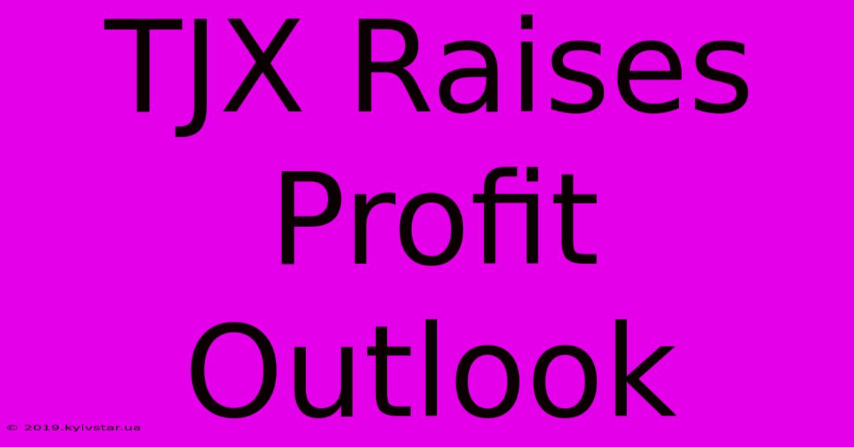 TJX Raises Profit Outlook