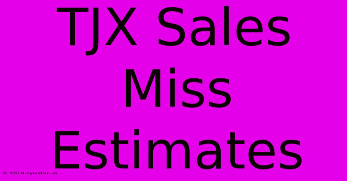 TJX Sales Miss Estimates