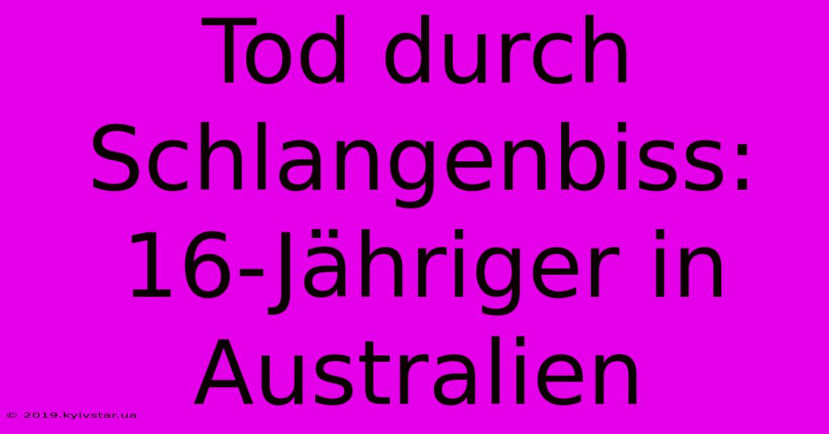 Tod Durch Schlangenbiss: 16-Jähriger In Australien