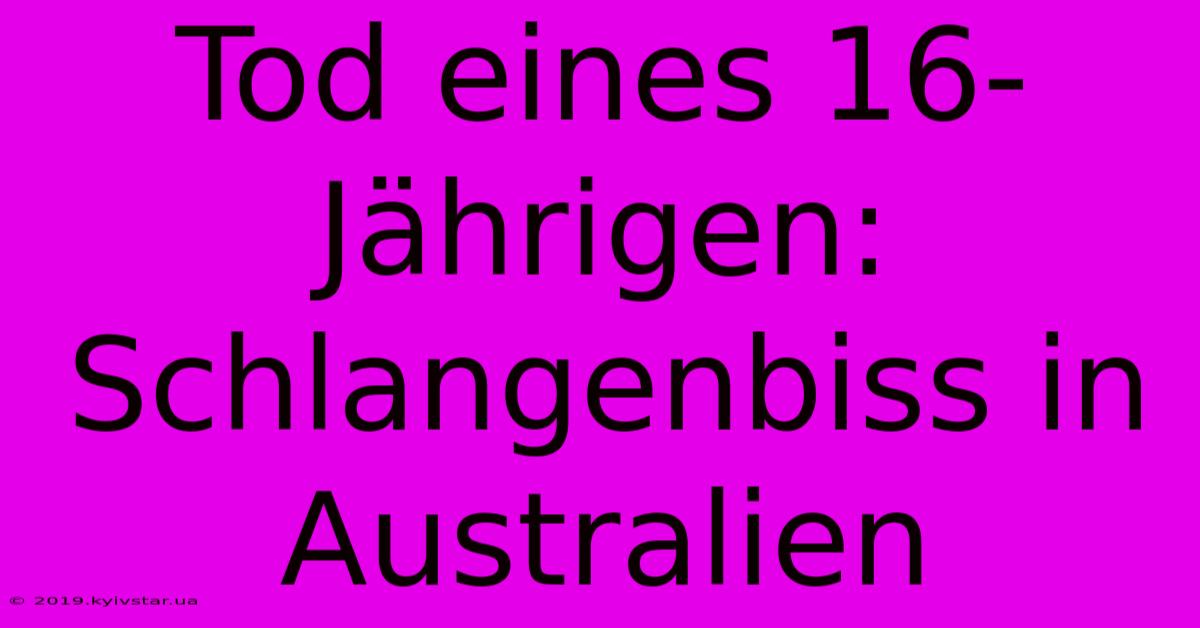 Tod Eines 16-Jährigen: Schlangenbiss In Australien