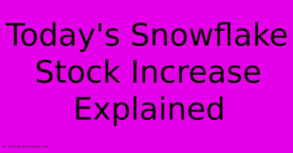 Today's Snowflake Stock Increase Explained