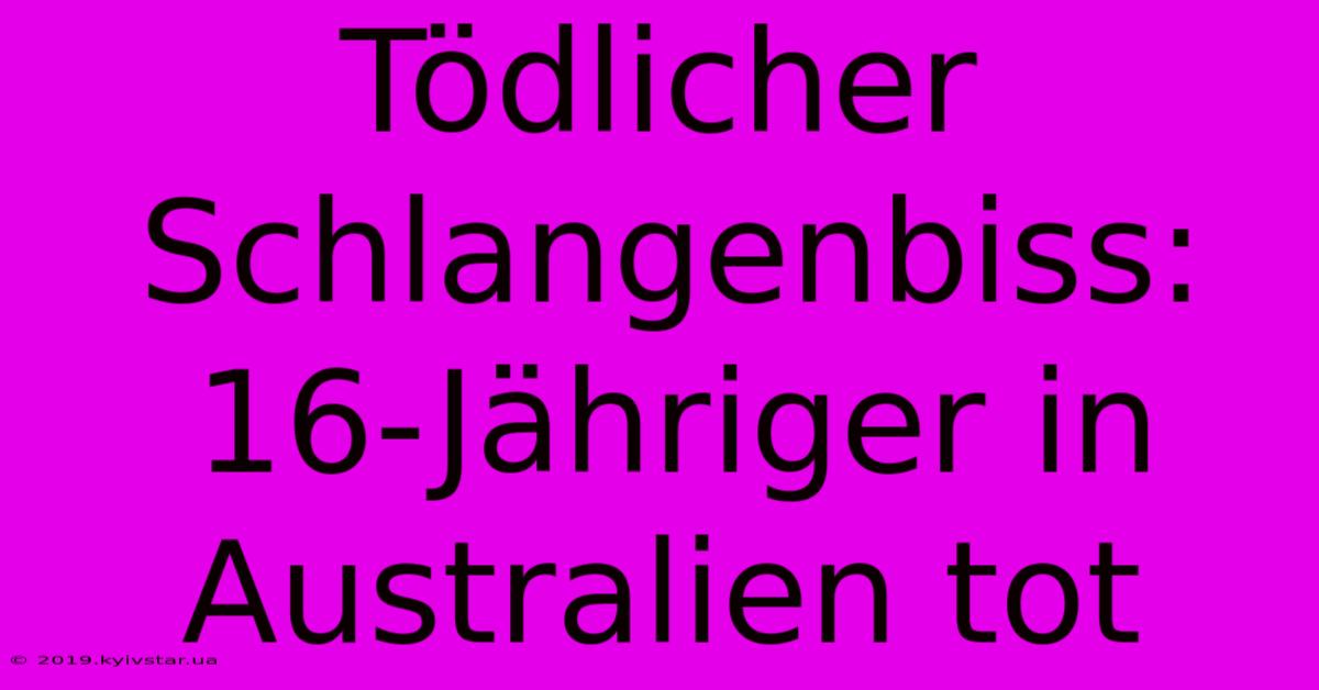 Tödlicher Schlangenbiss: 16-Jähriger In Australien Tot