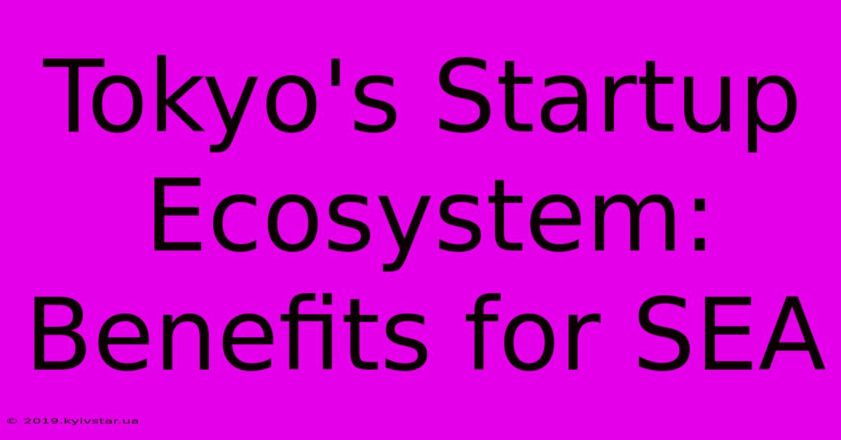 Tokyo's Startup Ecosystem: Benefits For SEA