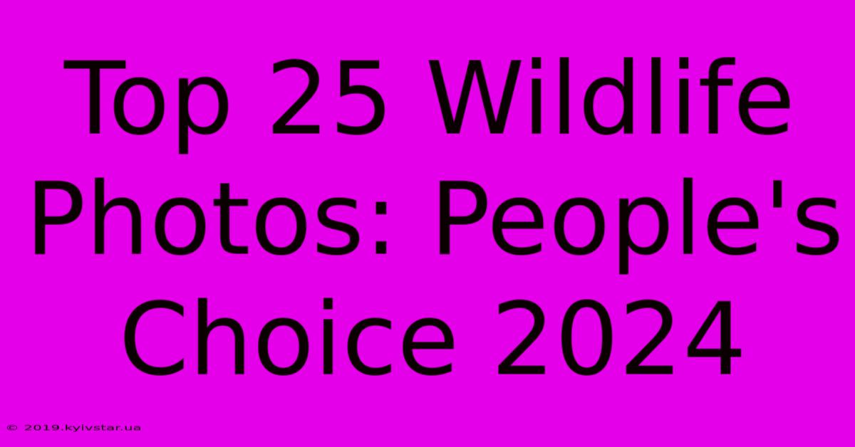 Top 25 Wildlife Photos: People's Choice 2024