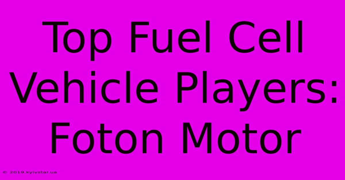 Top Fuel Cell Vehicle Players: Foton Motor