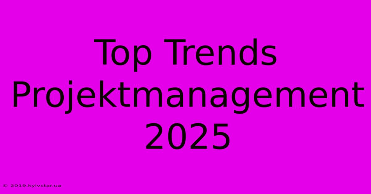 Top Trends Projektmanagement 2025