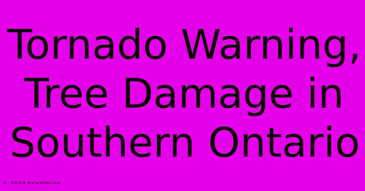 Tornado Warning, Tree Damage In Southern Ontario 