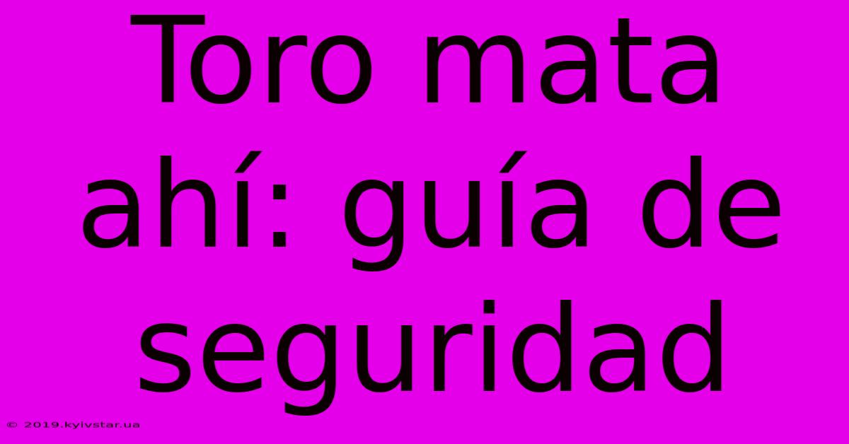 Toro Mata Ahí: Guía De Seguridad