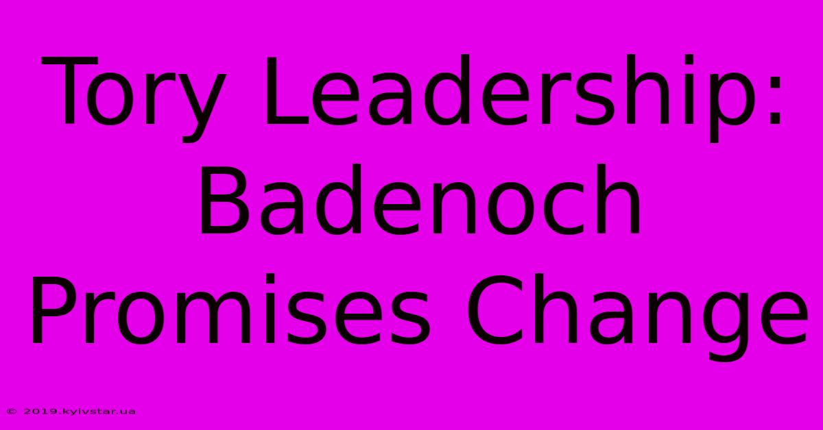 Tory Leadership: Badenoch Promises Change