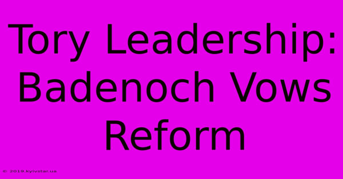 Tory Leadership: Badenoch Vows Reform