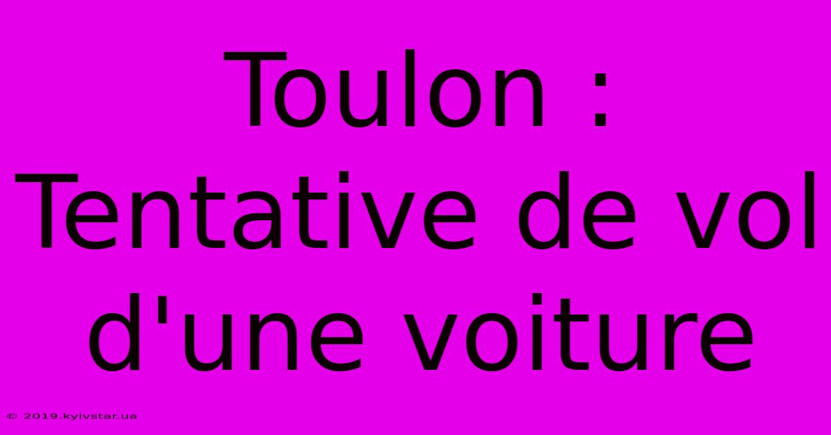 Toulon : Tentative De Vol D'une Voiture