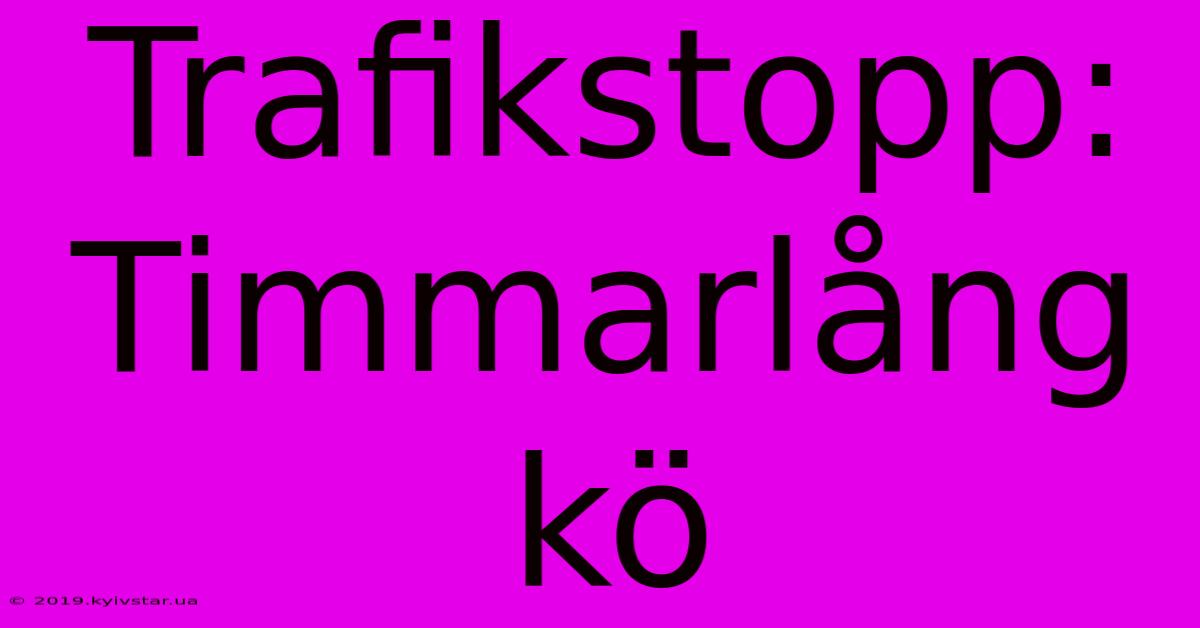 Trafikstopp: Timmarlång Kö