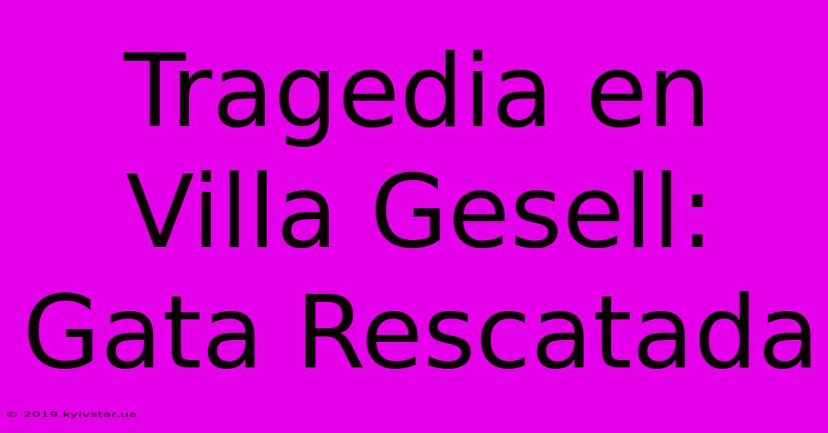 Tragedia En Villa Gesell: Gata Rescatada