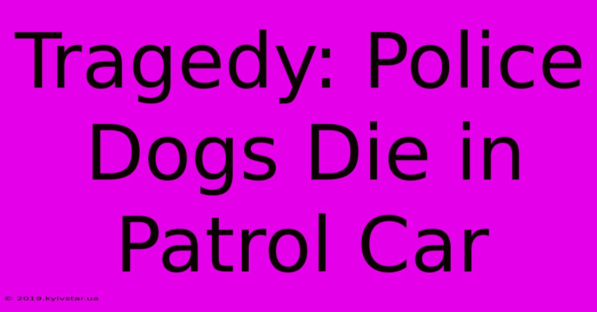 Tragedy: Police Dogs Die In Patrol Car