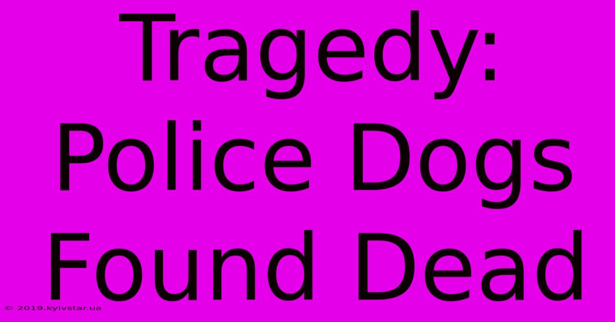 Tragedy: Police Dogs Found Dead