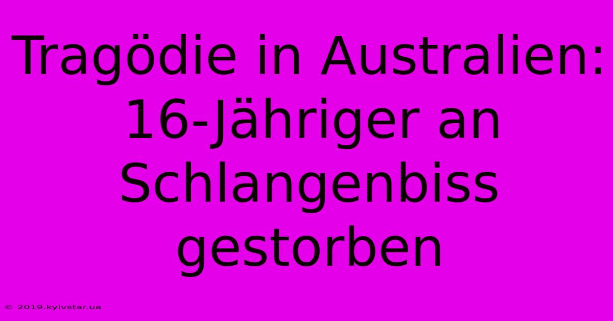 Tragödie In Australien: 16-Jähriger An Schlangenbiss Gestorben