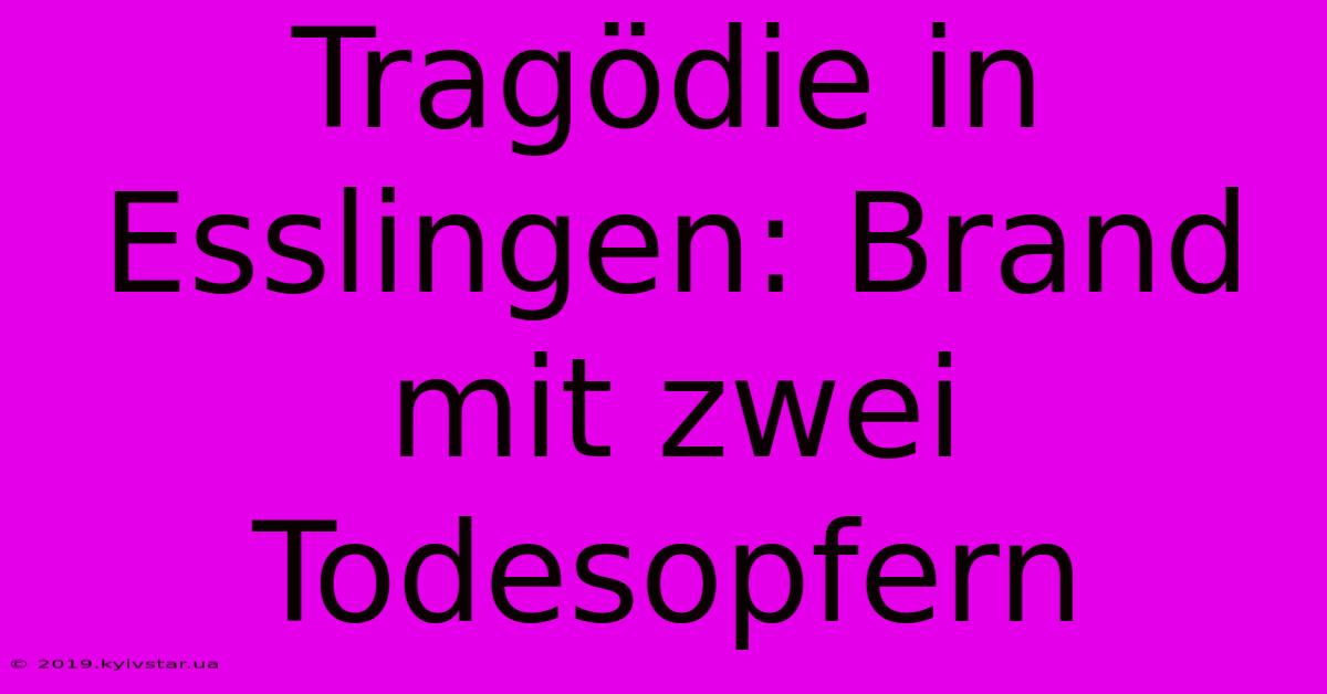 Tragödie In Esslingen: Brand Mit Zwei Todesopfern