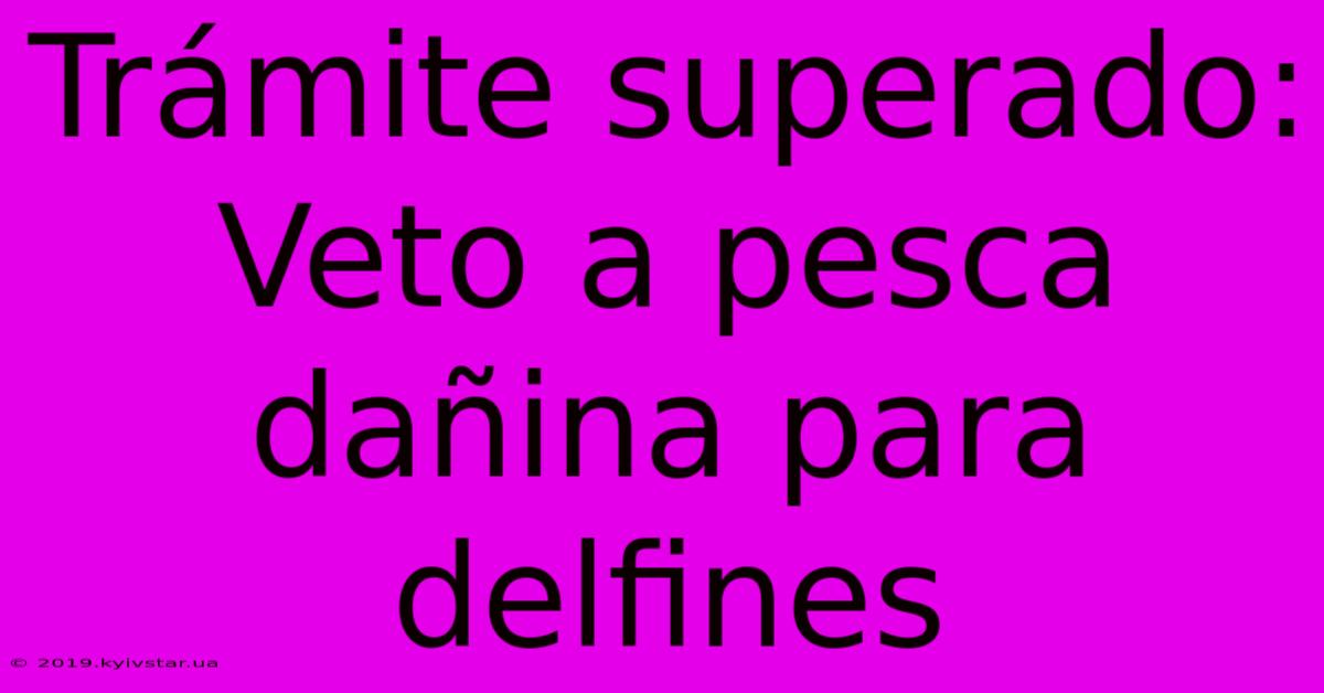 Trámite Superado: Veto A Pesca Dañina Para Delfines