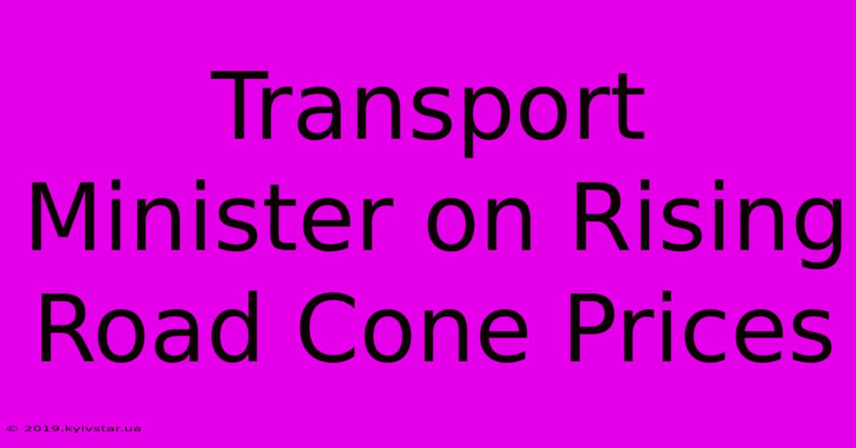 Transport Minister On Rising Road Cone Prices