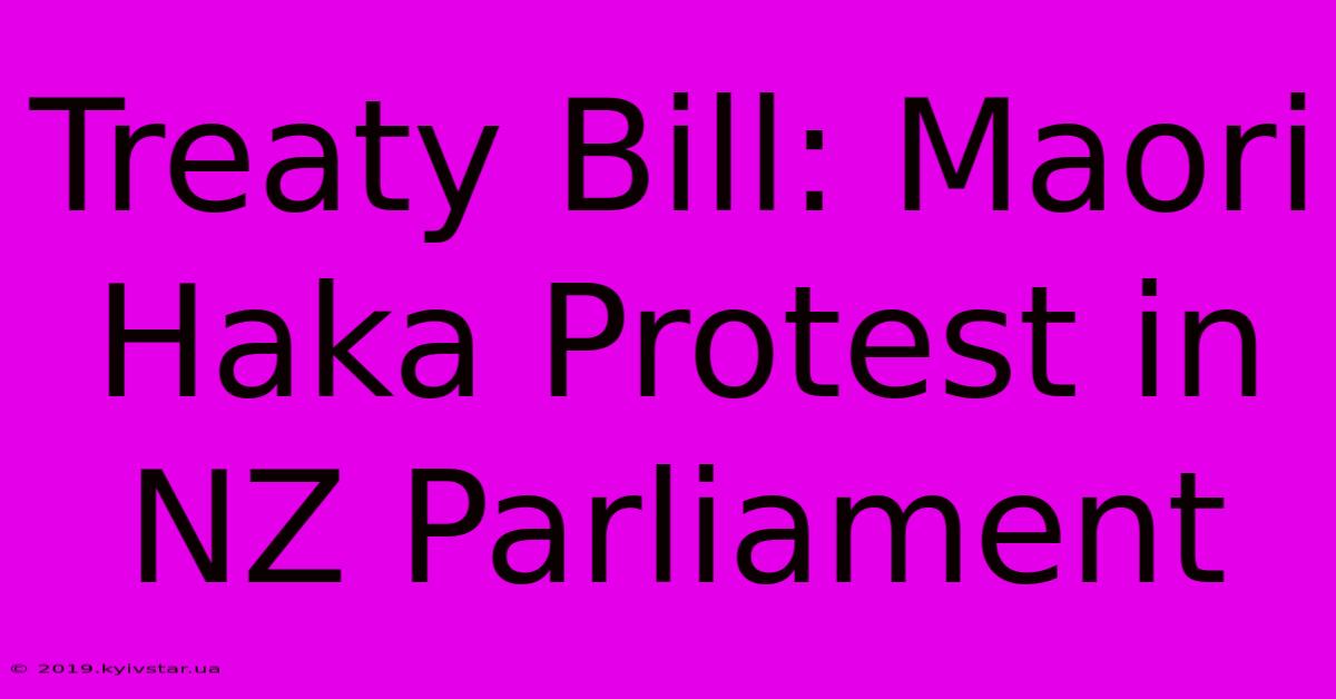 Treaty Bill: Maori Haka Protest In NZ Parliament