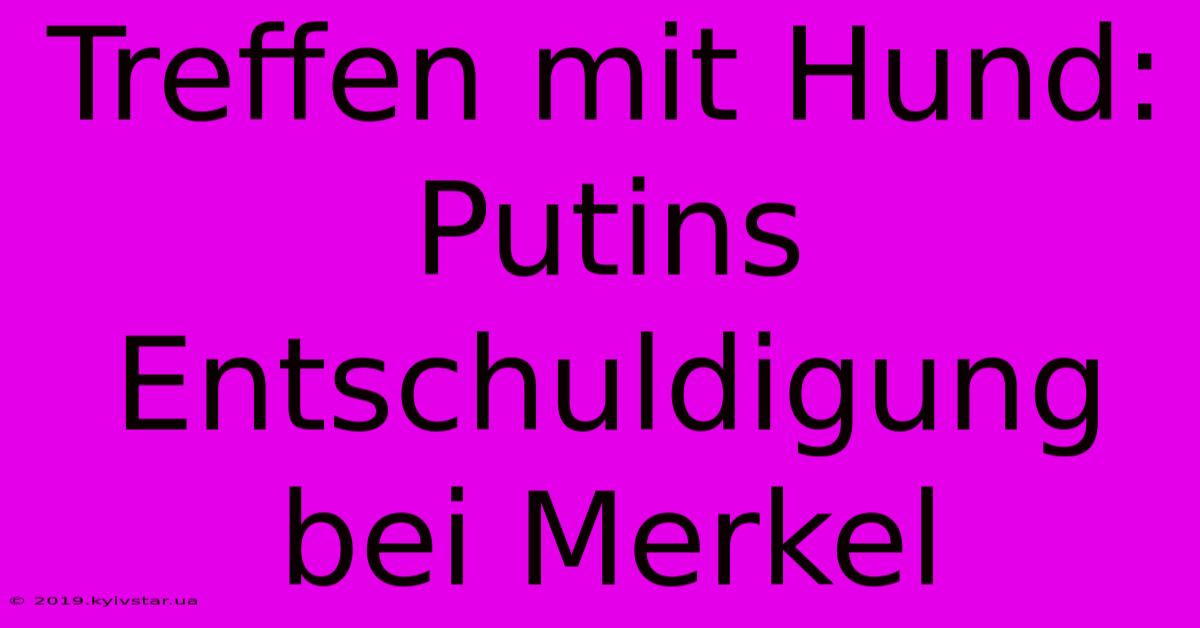 Treffen Mit Hund: Putins Entschuldigung Bei Merkel