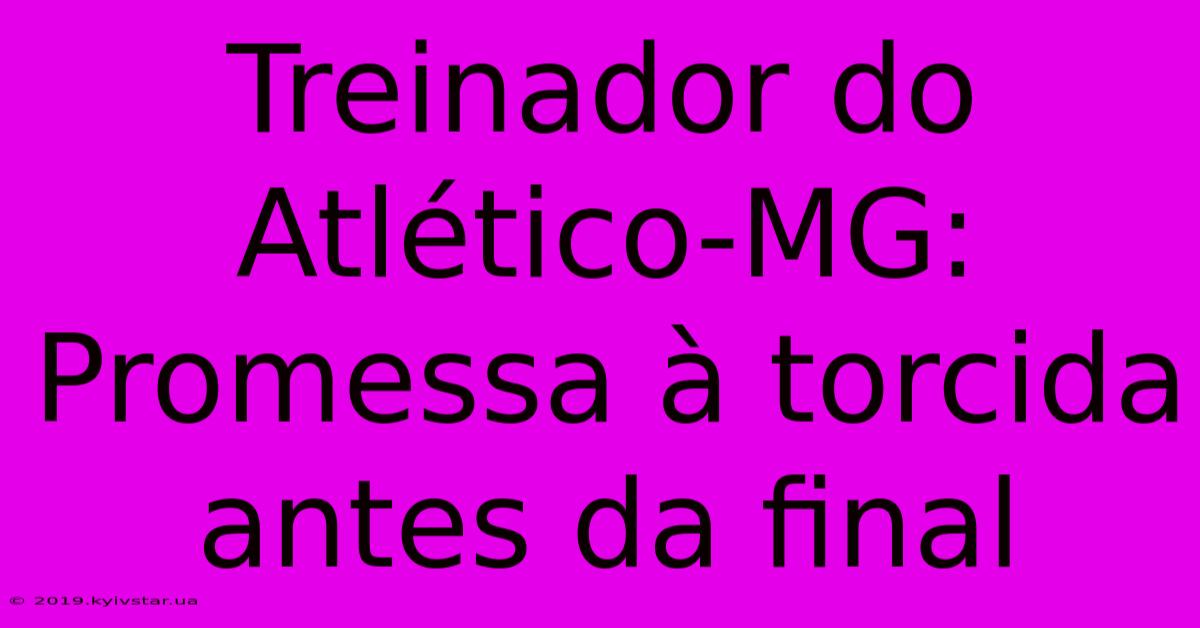 Treinador Do Atlético-MG: Promessa À Torcida Antes Da Final