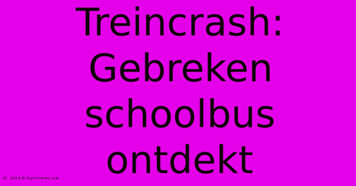 Treincrash: Gebreken Schoolbus Ontdekt