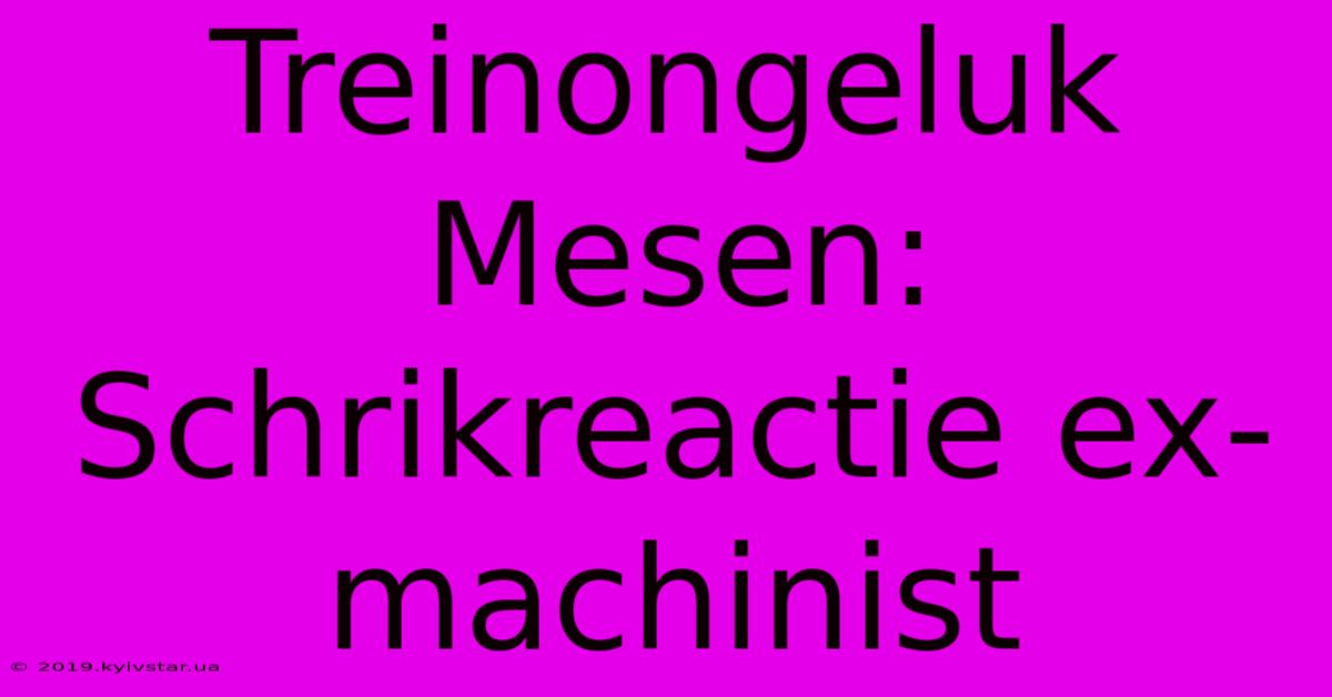 Treinongeluk Mesen: Schrikreactie Ex-machinist