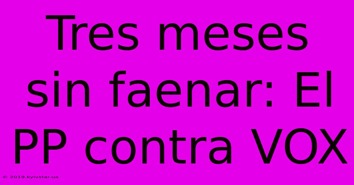 Tres Meses Sin Faenar: El PP Contra VOX