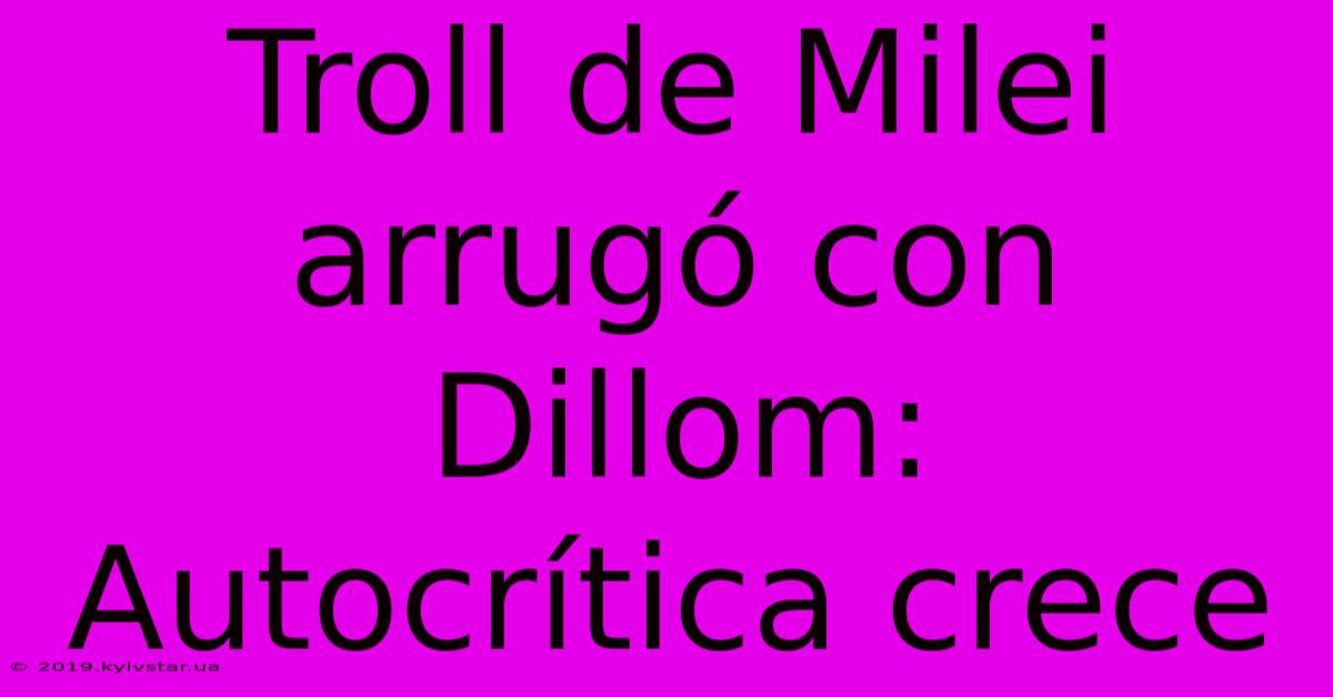 Troll De Milei Arrugó Con Dillom: Autocrítica Crece