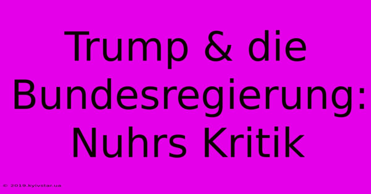 Trump & Die Bundesregierung: Nuhrs Kritik 