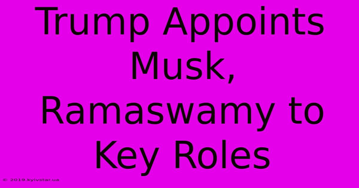 Trump Appoints Musk, Ramaswamy To Key Roles