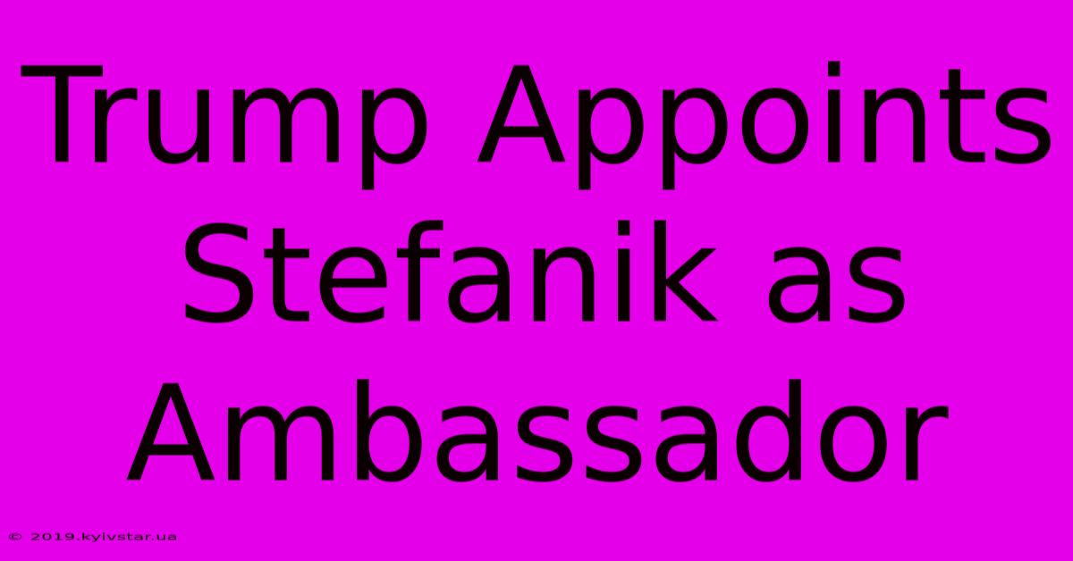 Trump Appoints Stefanik As Ambassador