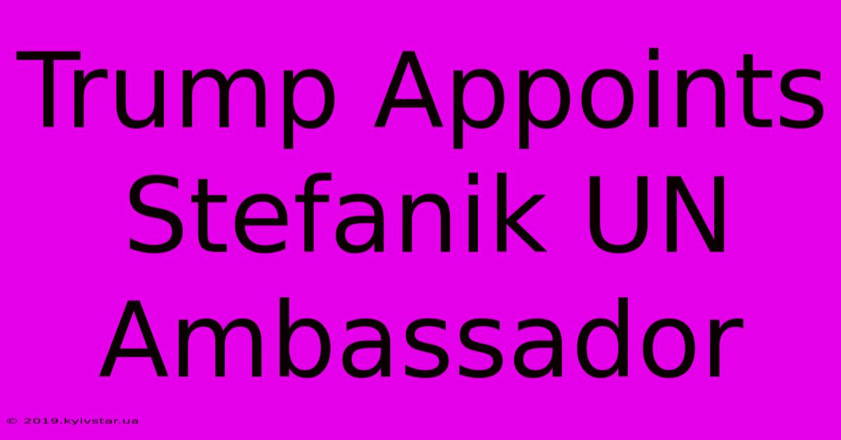 Trump Appoints Stefanik UN Ambassador