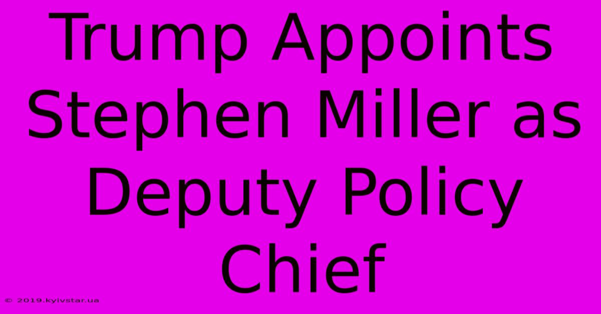 Trump Appoints Stephen Miller As Deputy Policy Chief