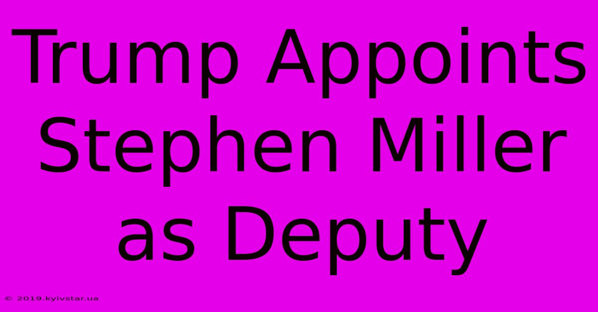 Trump Appoints Stephen Miller As Deputy 