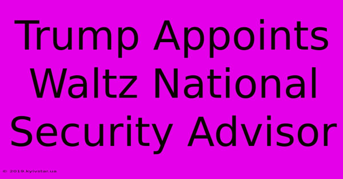 Trump Appoints Waltz National Security Advisor